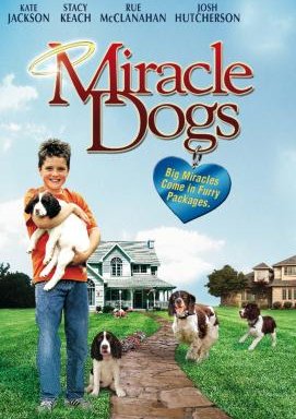 Wunder Hunde - Eine magische Geschichte