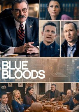 Blue Bloods - Crime Scene New York - Staffel 13